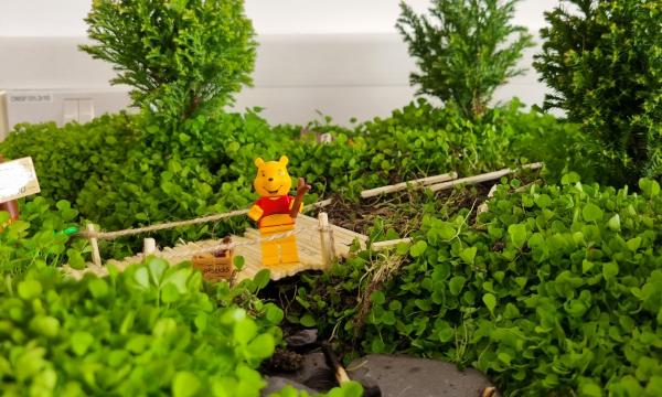 Jazmine Early Childhood Education and Care project featuring lego Winnie the Pooh